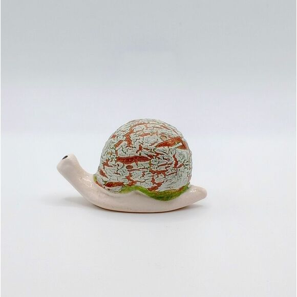 Crackle shell snail - Picture 3 of 7